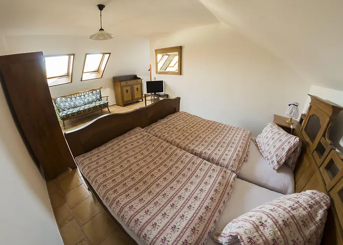 Maison d'hôtes Regina Větřní